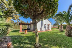yoga-retreat-andalusien